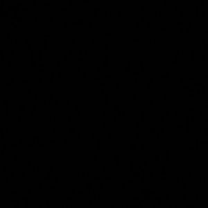 Meet your Posher, Alisa